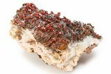 Top-Quality, Deep Red Vanadinite Crystals on Barite - Morocco #255539-3